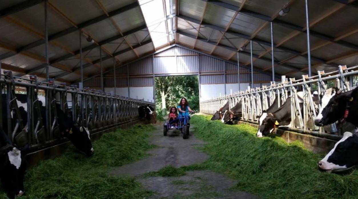 Hoeve De Pippert Hotel Ophemert Esterno foto