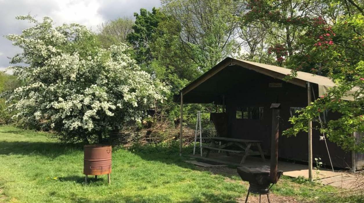 Hoeve De Pippert Hotel Ophemert Esterno foto